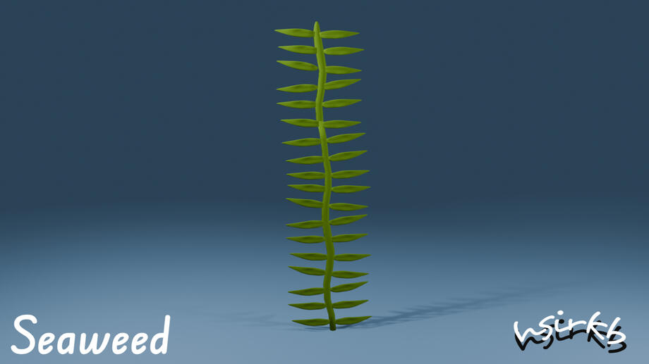 Seaweed